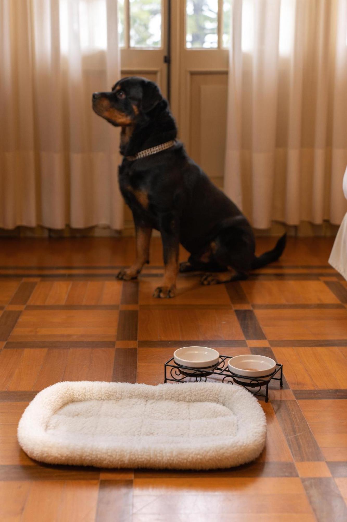 Junior Suite con Balcone